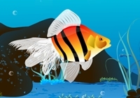 เกมส์โลกใต้ท้องทะเล (Water World)