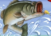 เกมส์แข่งตกปลา (Fishing Champion)