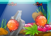 เกมส์ตกแต่งตู้ปลา (My Lovely Aqua)