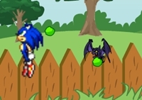 เกมส์โซนิในสวนหลังบ้าน (Sonic in Graden)