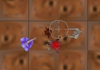 เกมส์ดวงดาวเลือดไหล (Bloody Ground)