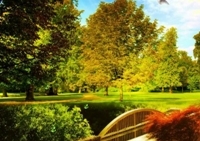 เกมส์ค้นหาต้นไม้สีเขียว (Green Planet)