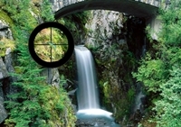 เกมส์ค้นหากิ้งก่า (Colorful Chameleon Sniper)