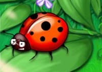 เกมส์คนแคระป้องกันสวนหลังบ้าน (Garden Inventor)