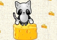 เกมส์แมวเหมียววิ่งเก็บชีส (Go On Kitty)