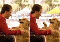 เกมส์จับผิดภาพ (Photo Hunt)