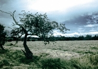 เกมส์ต่อภาพหลังพายุฝน (Before The Storm)