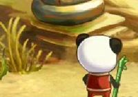 เกมส์แพนด้าตะลุยทะเลทราย (Pandas in the Desert)
